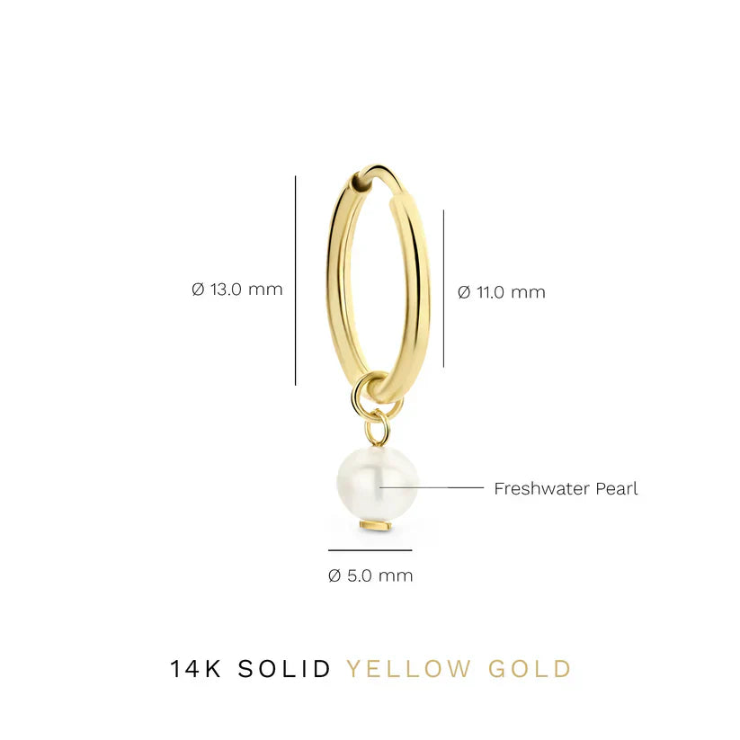 PENDIENTES DELIA BLASON | ORO
