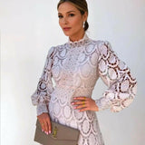 Elegant Lace Midi Dress with Sleeves for Formal Occasions