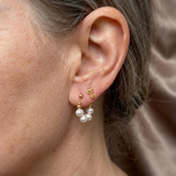 PENDIENTES BAROQUE PERLA CLOU OREILLE